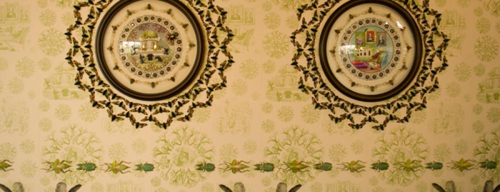 Two circular frames with art inside on top of intricate wallpaper that features insects.