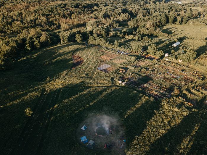 CAFKA6 large.jpg